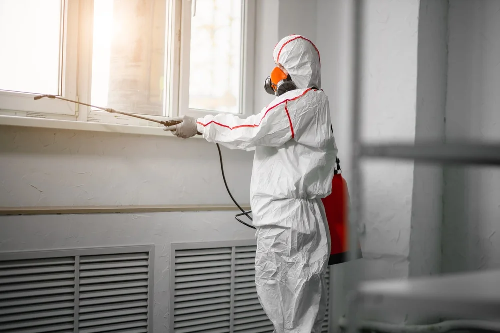 Professional mold remediation services in Cascade, WI